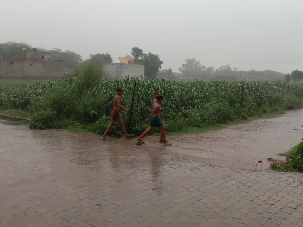 weather, rain fall, temperature low, rewari