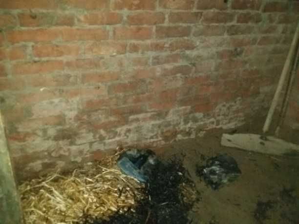 crime, girl burn, firozabad