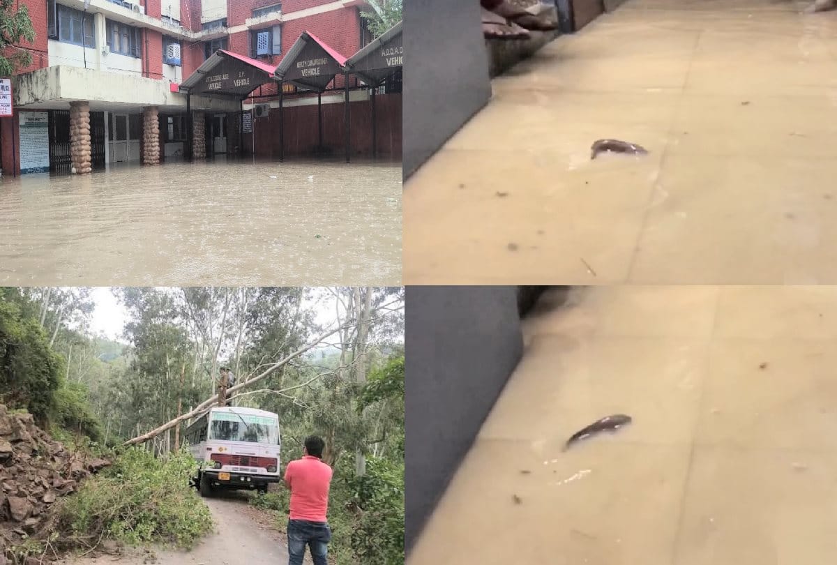 weather update: Due to heavy rain fish in DSP office and chairs floated in SP office-furniture in himachal