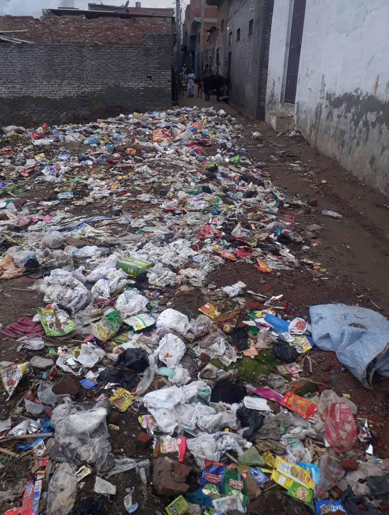 waste collection stop in 32 wards in moradabad