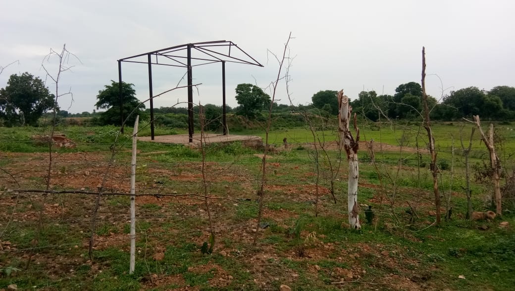 Syamshan field capture dabang