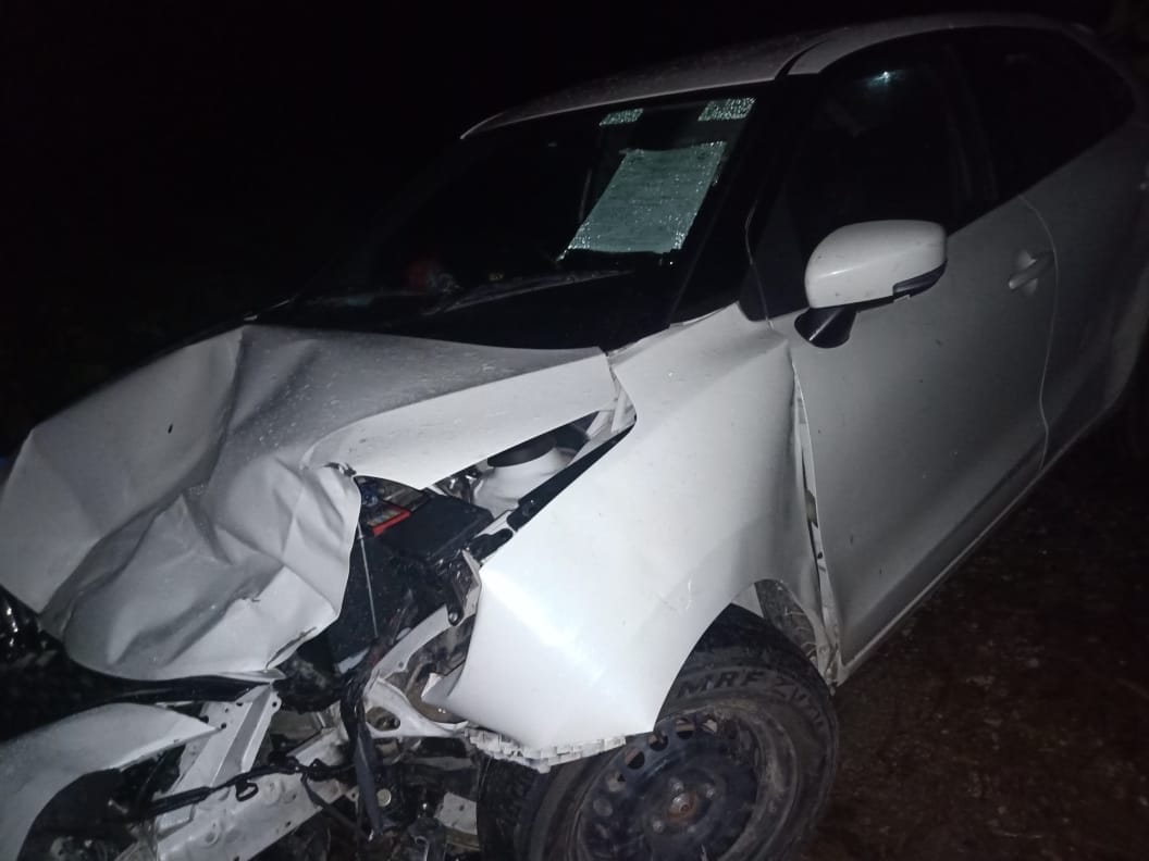 Uncontrollable car crushed animals sitting on the road, three cows died