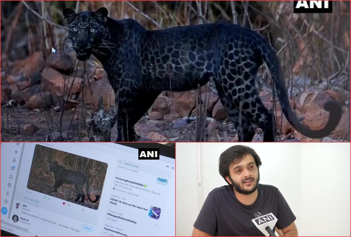 Pune photographe Abhishek Pagnis telling story of clicking viral black leopard picture Waited for 2 hours for shot