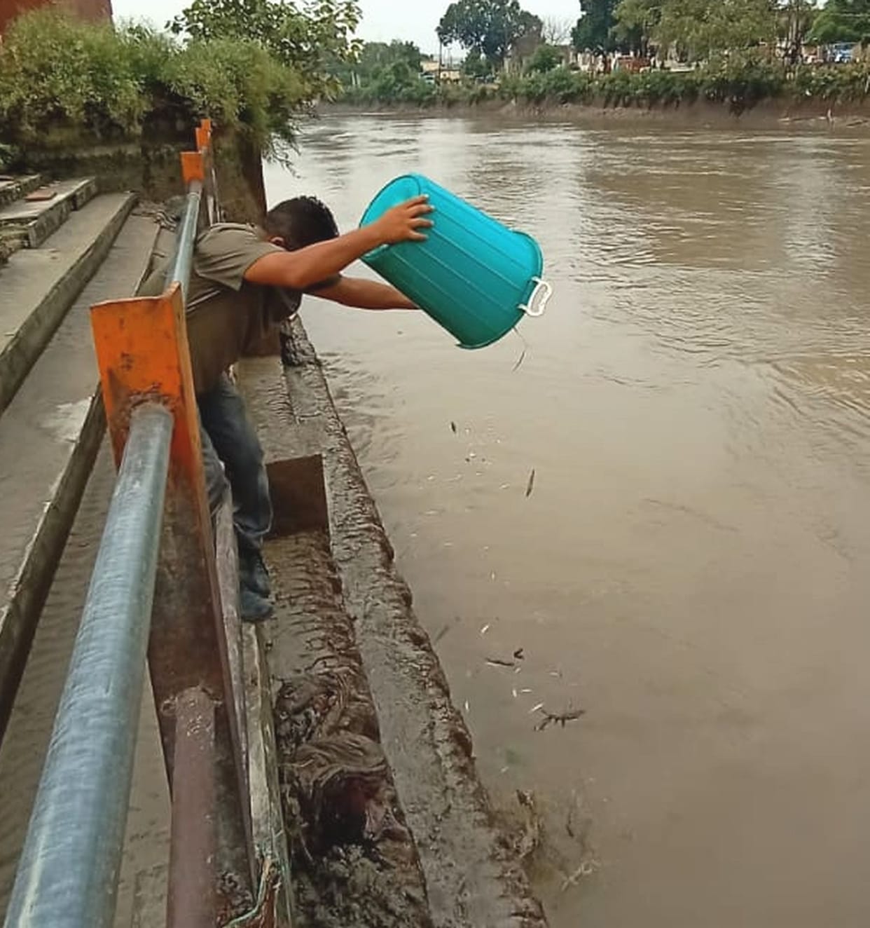 Four people are illegally fishing