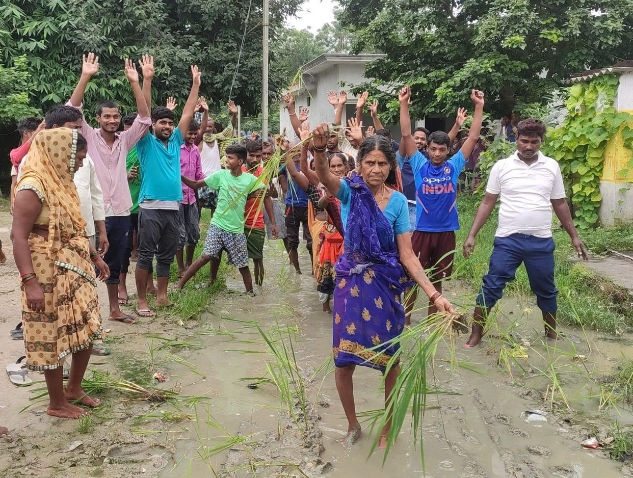 Villagers protested by planting paddy on the middle road