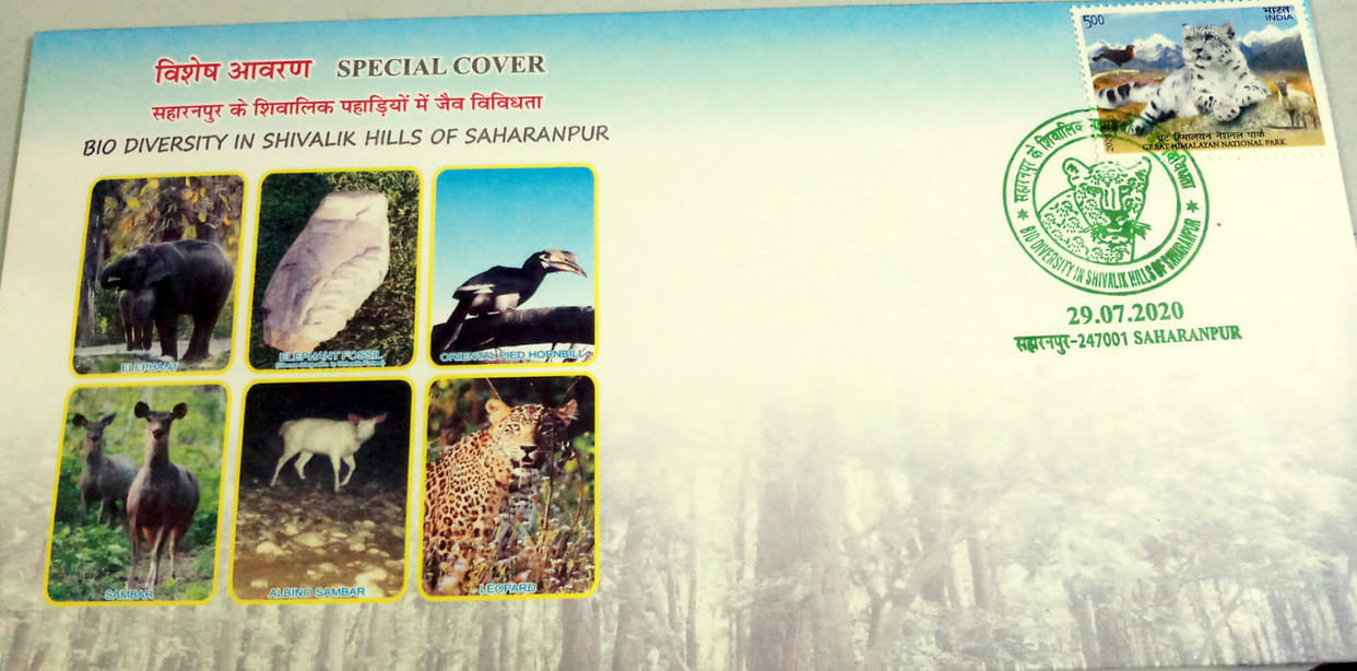 Tiger to visit Shivalik forest area: Mandalayukta