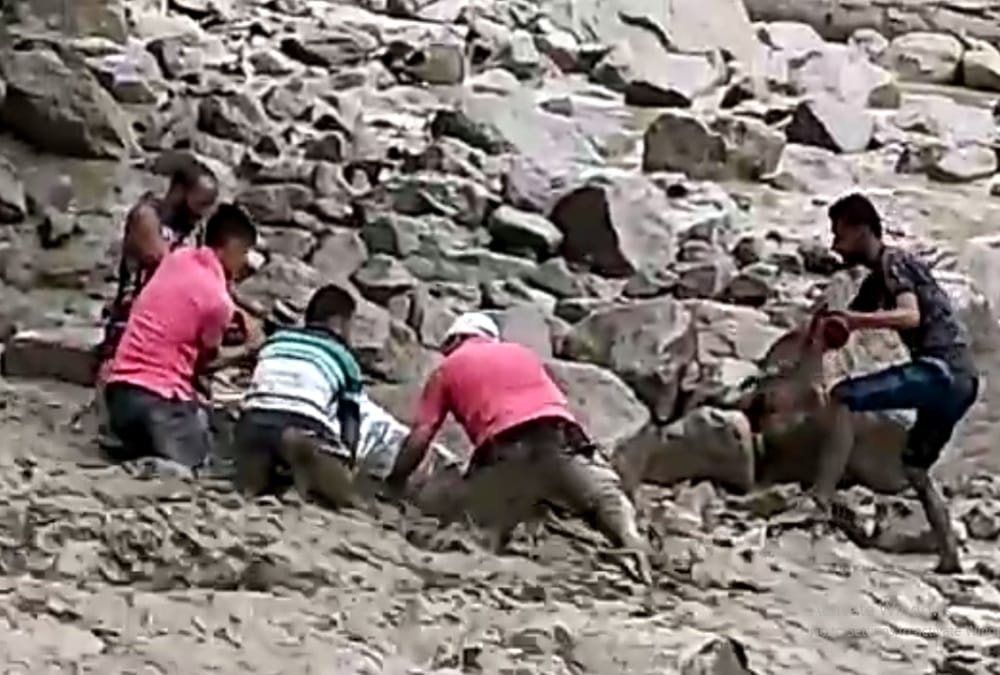 Uttarakhand weather: Mla Harish Dhami Falls into River debris Heavy Flow in Dharchula