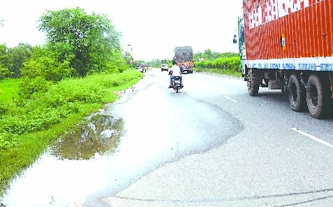 Bareilly-Delhi Highway: If there is no electric pole shift in many places, there is danger of being hit by dry trees