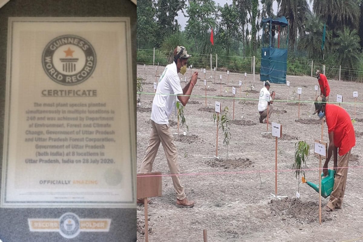 Meerut News: Forest Department has been named in the Guinness Book of World