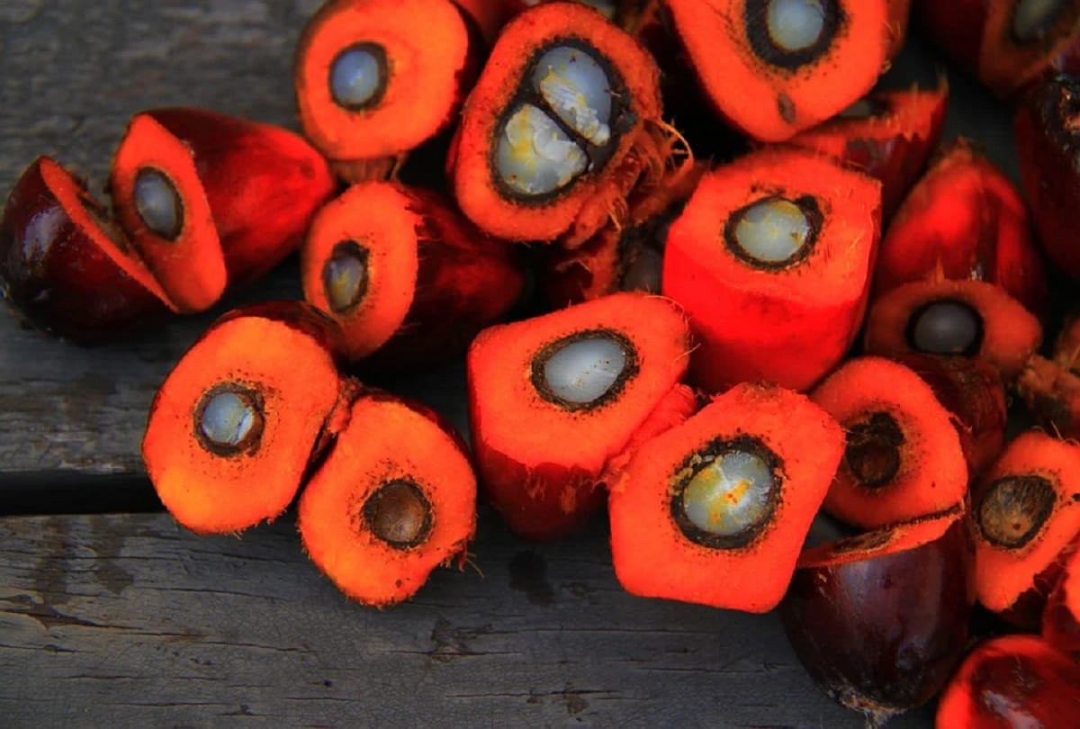 Palm oil is considered magical malaysia says it is God gift