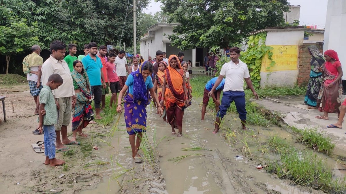 People protest against waterlogging by planting paddy on street in mau up