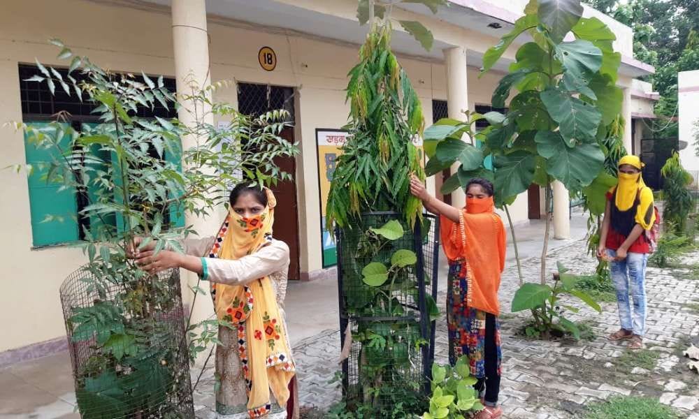 Resolve to protect trees by tying a rakhi in mahoba
