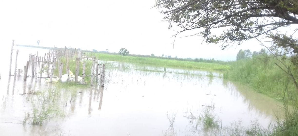 the water level og ganga increase more in three days, sdm say that dont worry the situation is not like flood