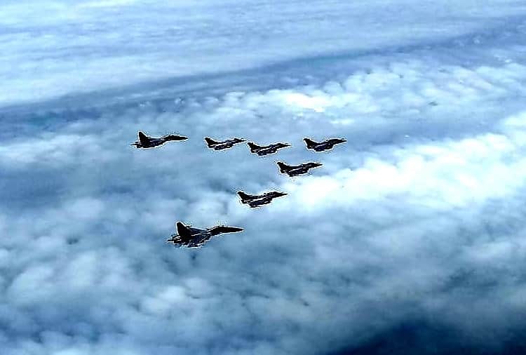 Rafale in india News: Birds is big challenge for Airforce around Ambala airbase