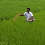 farmers