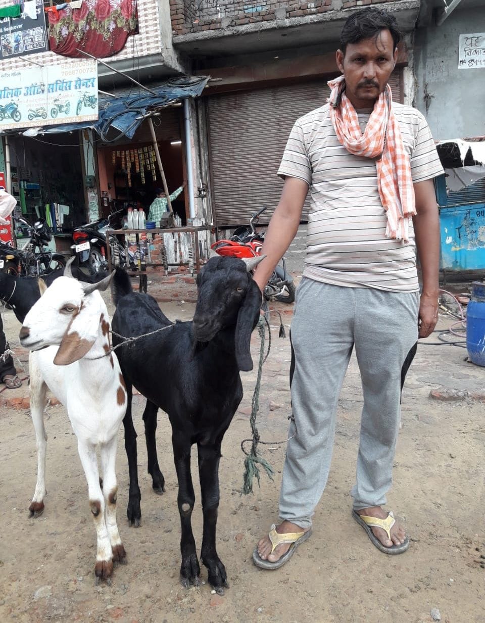 Id-ul-azha : Customer less at goat, bota and knife shops