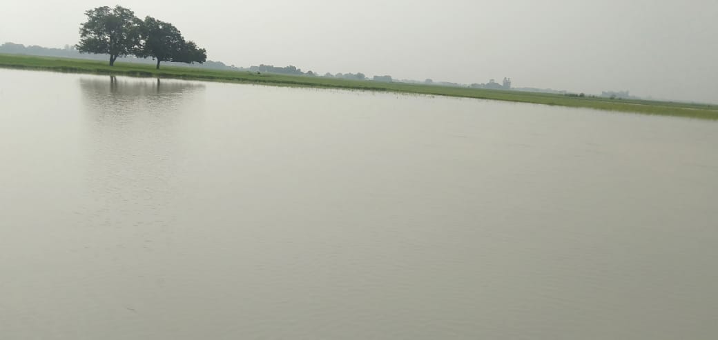 If the Magai river continues to rise then Karail will be destroyed