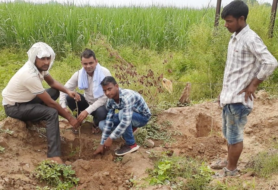 Greenery will once again wave on the Baraut-Muzaffarnagar route