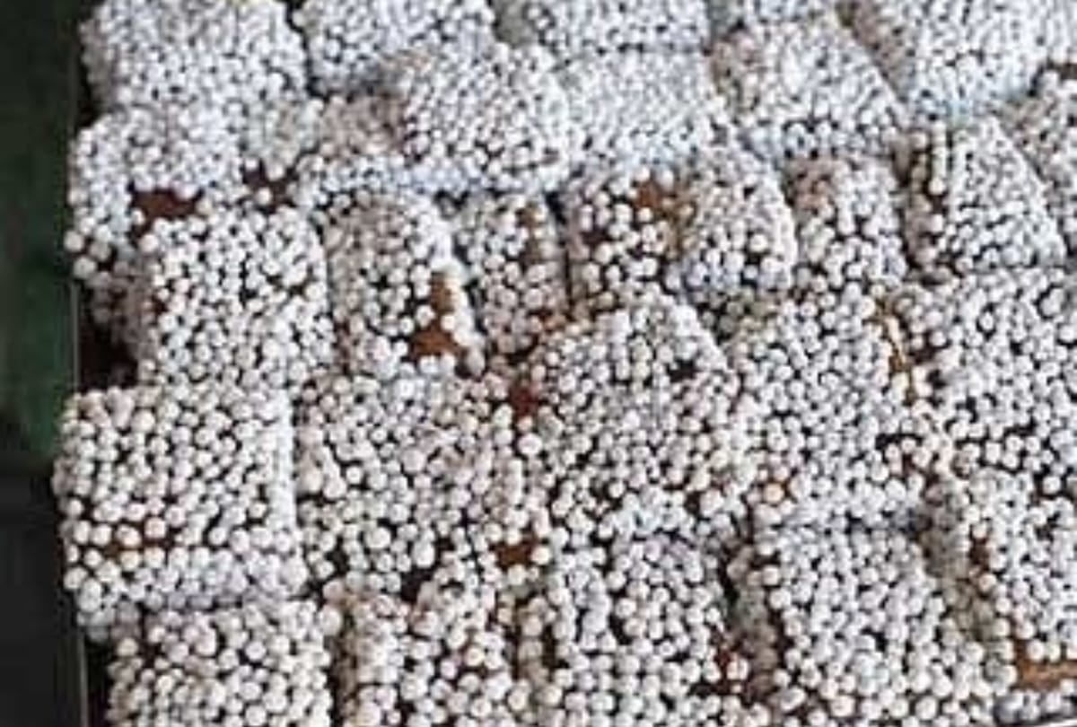 raksha bandhan 2020 recipes uttarakhand famous bal mithai recipe in hindi how to make bal mithai at home