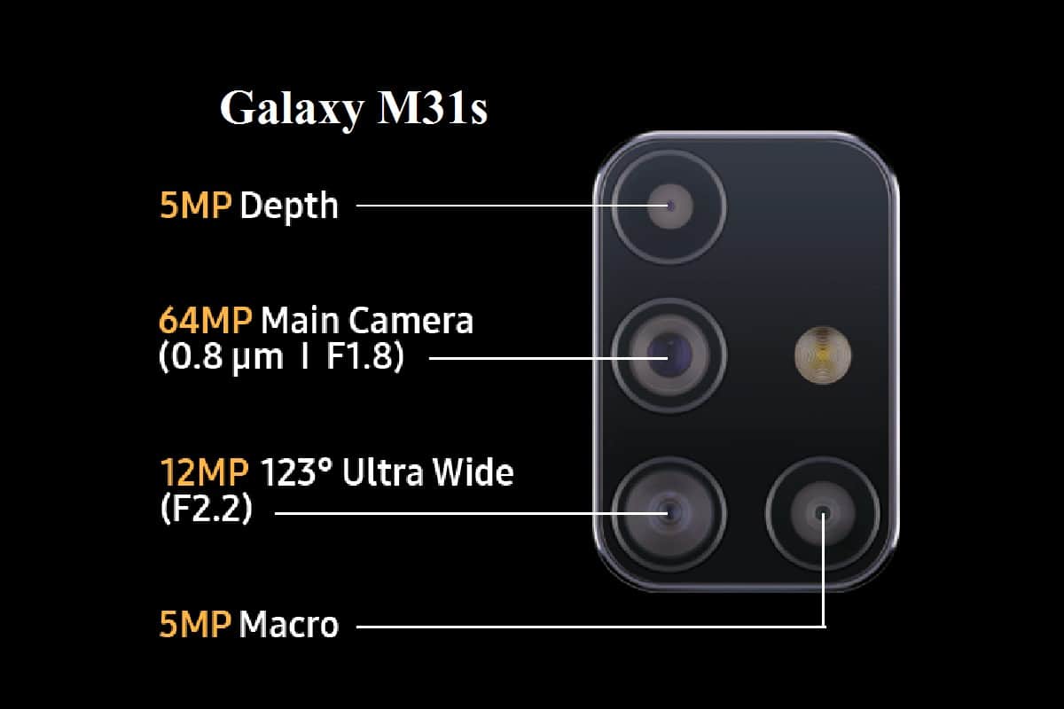 Samsung Galaxy M31s vs Galaxy M31 Which phone is better for you according to budget and features