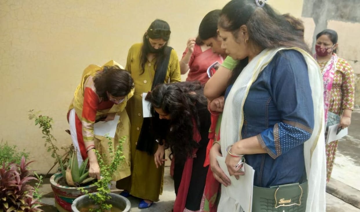 A dengue larva found in an earthen pot feeding the bird