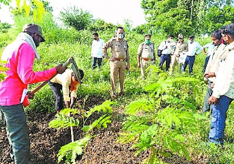 Sister confessed truth .. I caught foot lover strangled to death