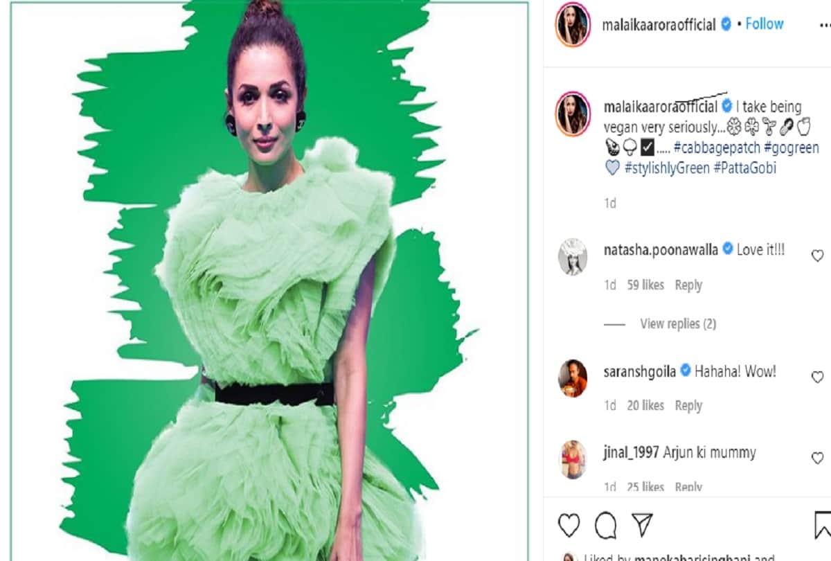 malaika arora wear green layer short dress and compare it to cabbage with funny caption in social media