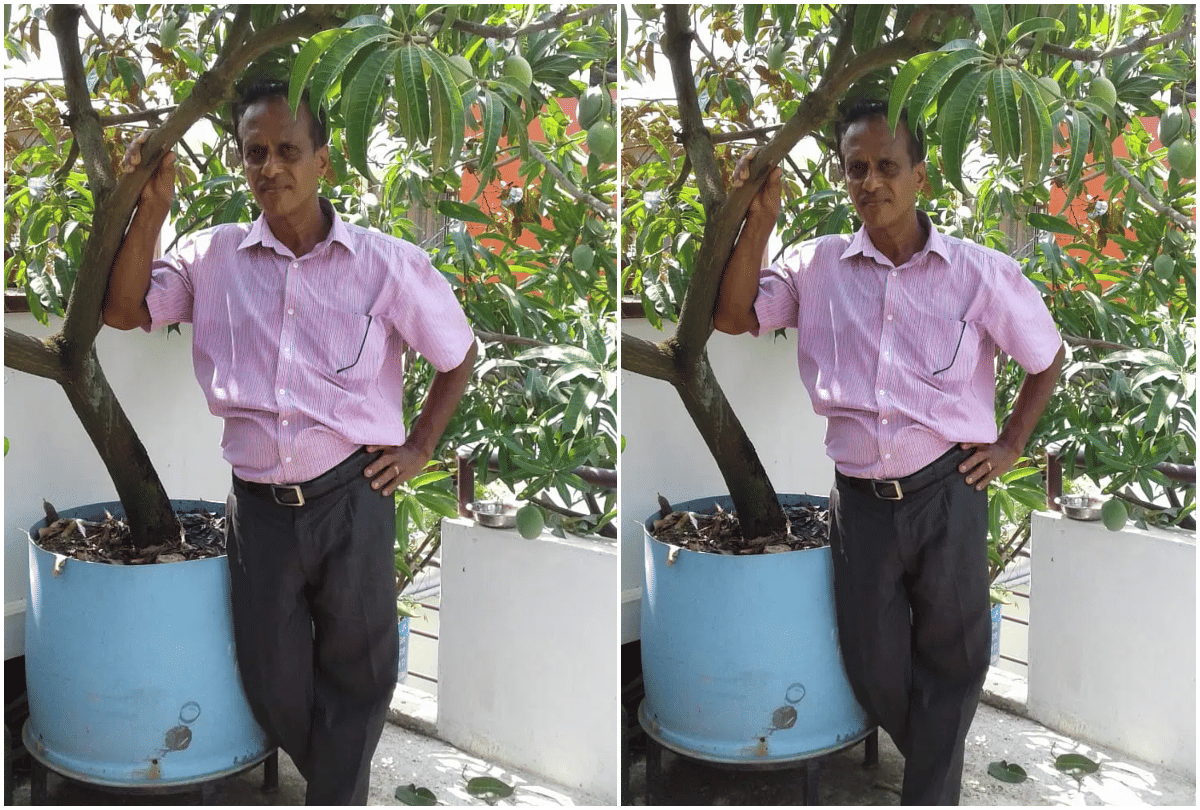 Mango Man grows 40 varieties of mango on terrace