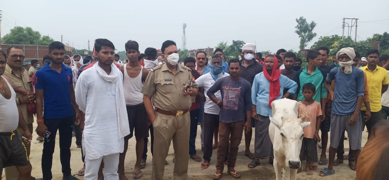NH-29 jammed for treatment of cattle