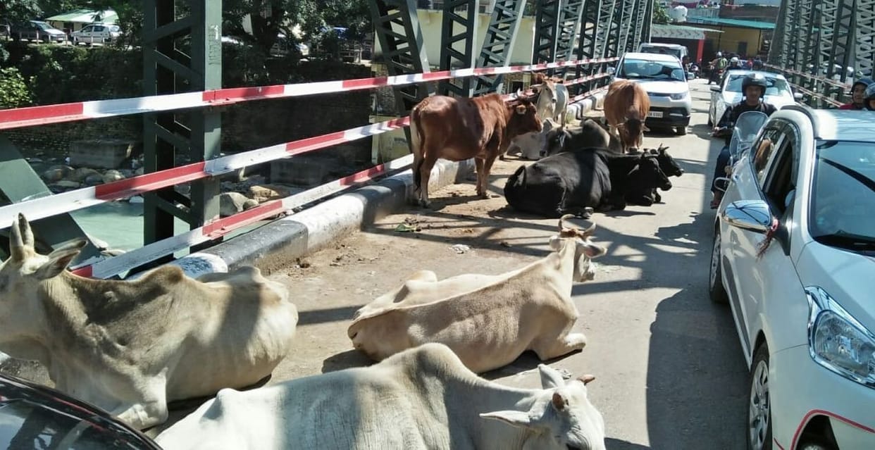 Traffic Jam in Bageshwar