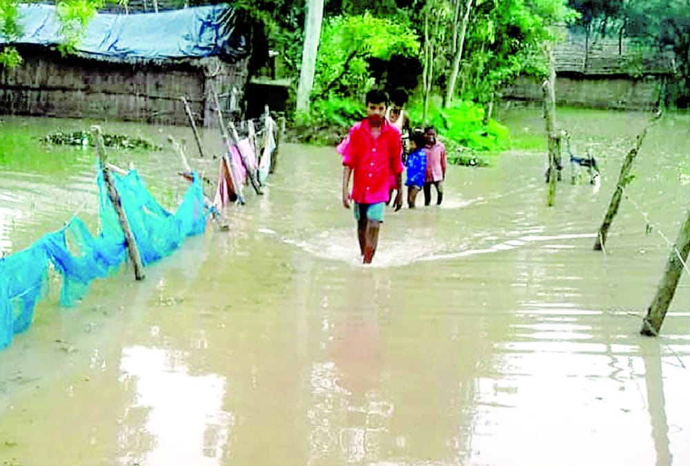 293 villages of 12 districts are flood effected in Uttar Pradesh.