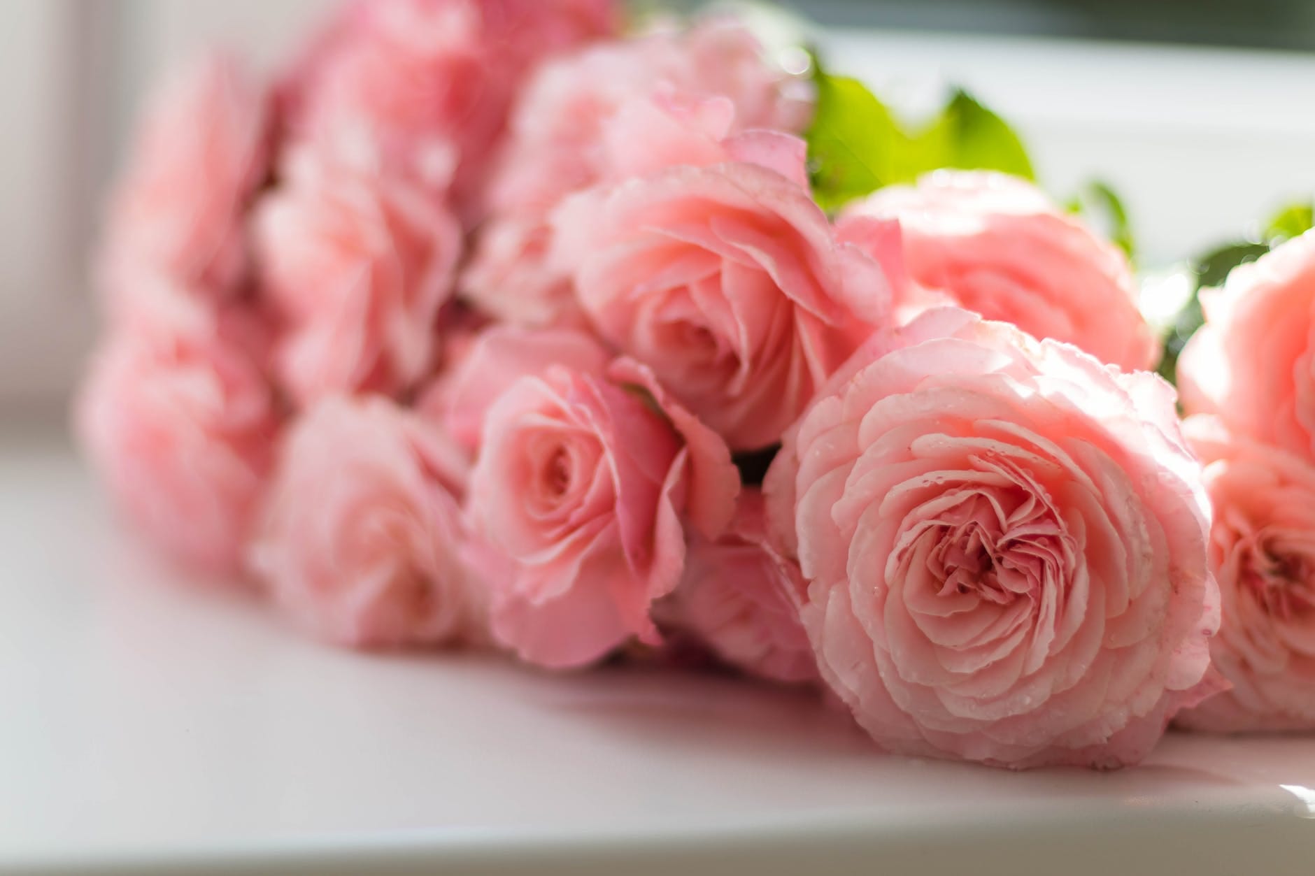 Propose Day 2021 The partner has to propose so these measures can help you
