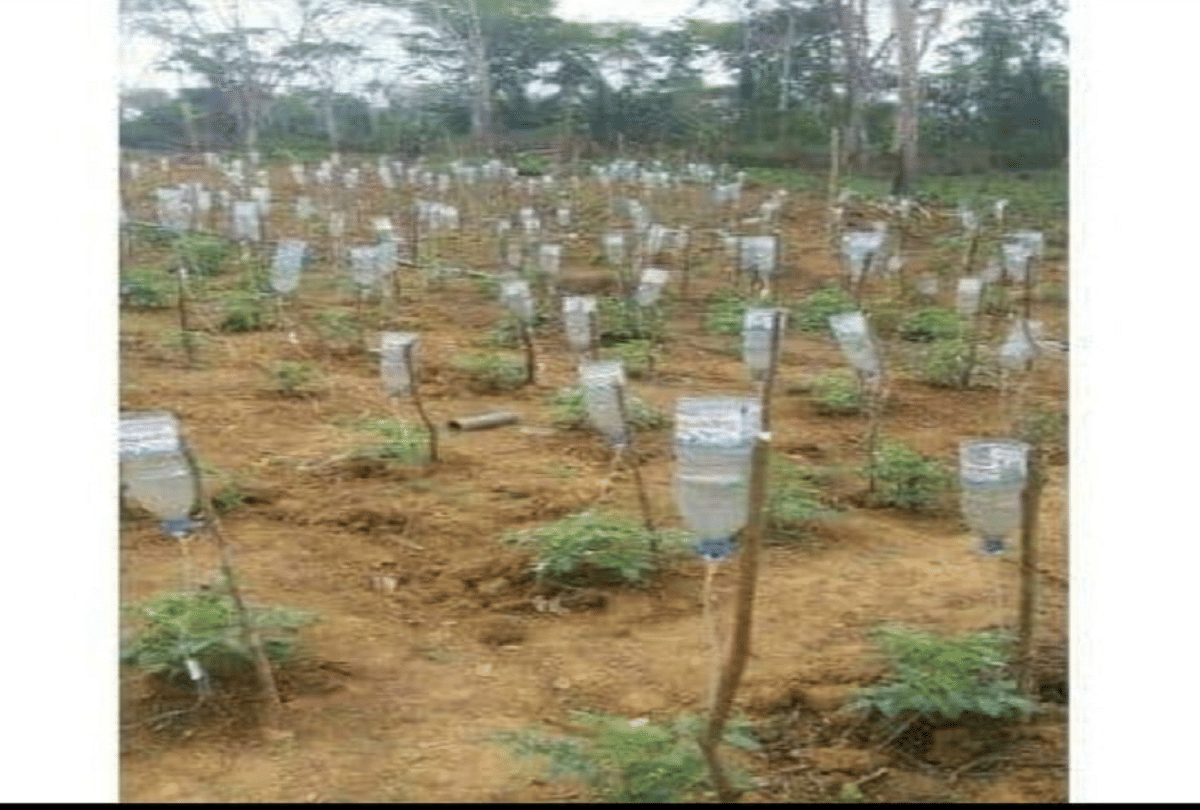 madhya pradesh farmer used waste glucose bottles for new techniques of farming