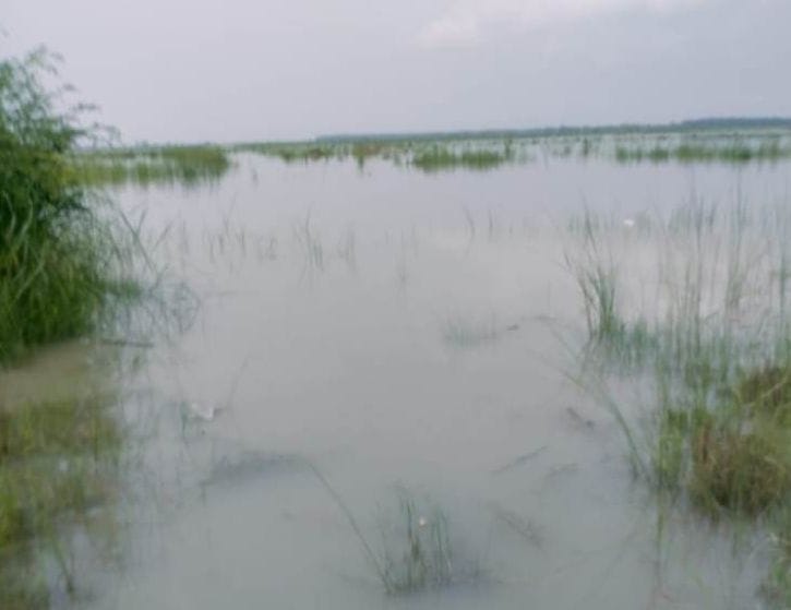 the wate fill in the bank og ganga after increase walter level, peoples worry about flood