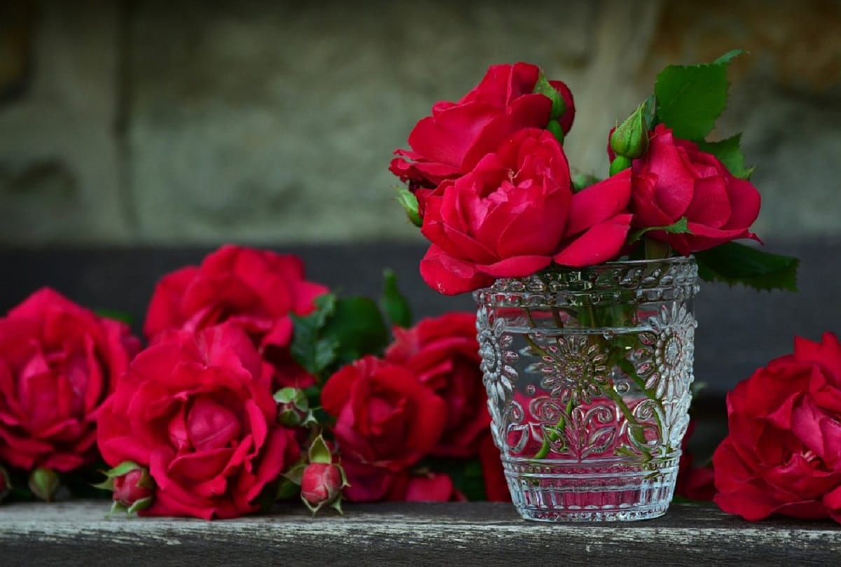 Skin Care Tips how to make rose water at home simple steps of making rose water