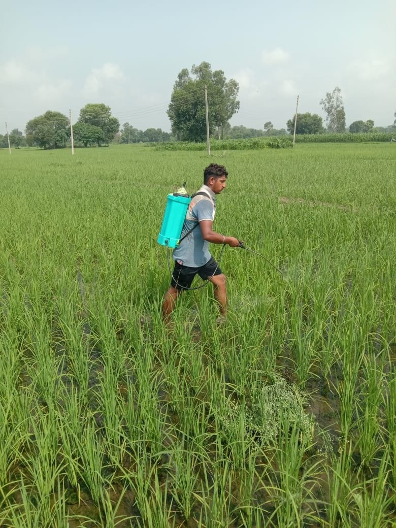agriculture