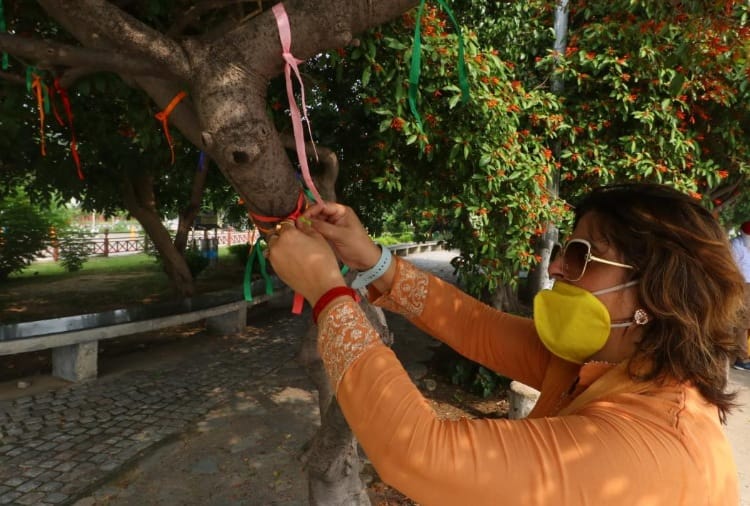 Raksha Bandhan 2020: People tied rakhi to tree in Chandigarh