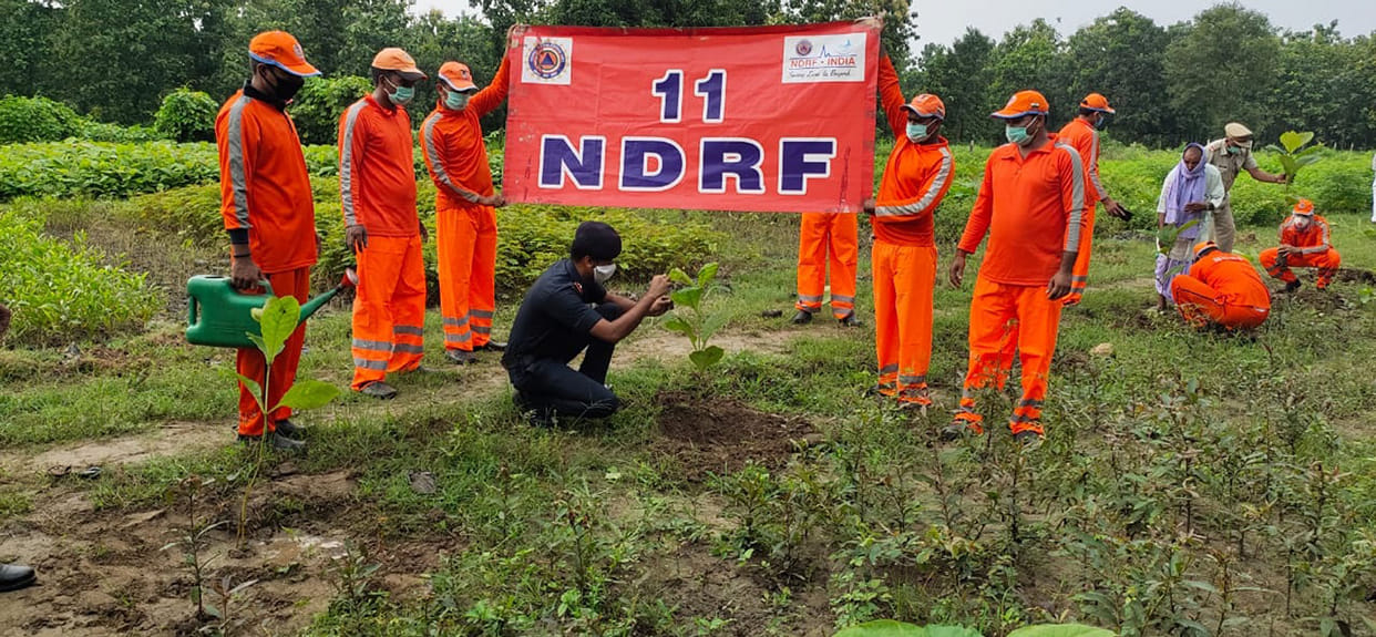 ndrf band thread to trees