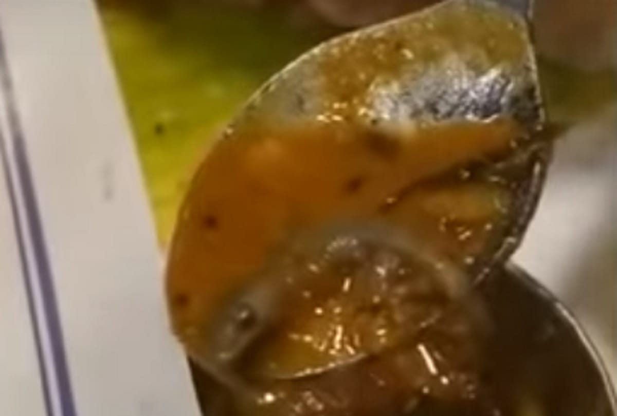 delhi lizard found in food of famous restaurant in connaught place case registered