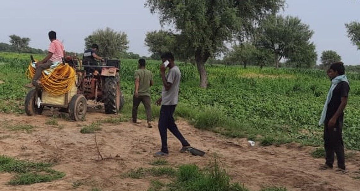 agriculture department, tiddi dal,  80% tiddi dead