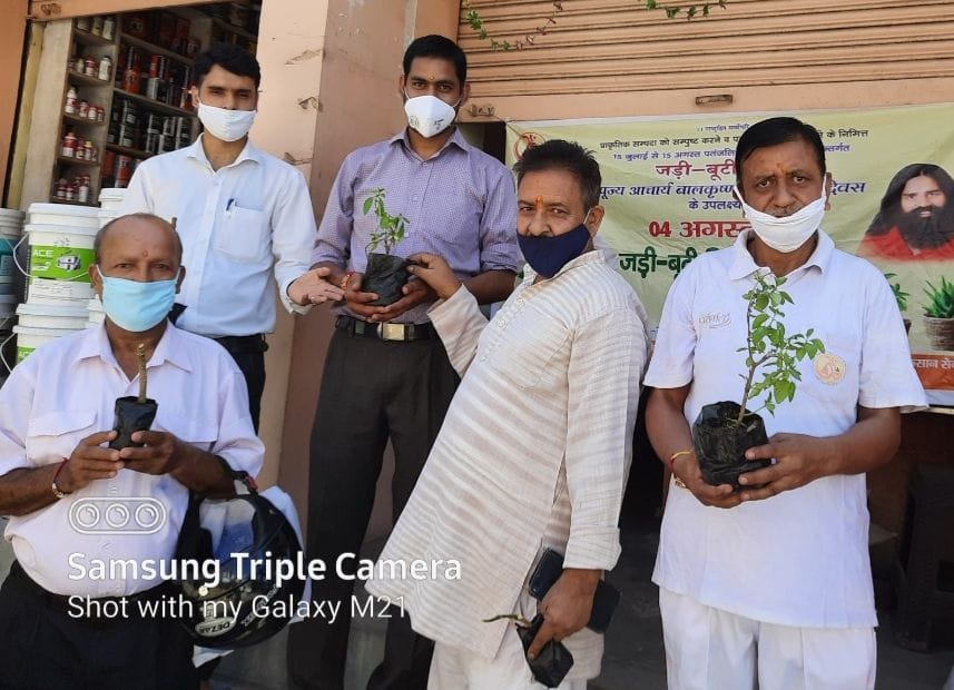 Acharya Balakrishna's birthday celebrated by distributing medicinal plants