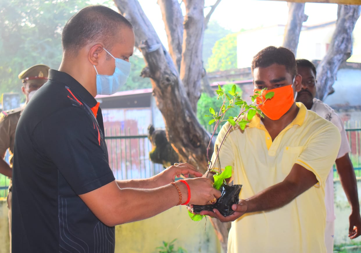 The Giloy distribution started from the hands of the DIG