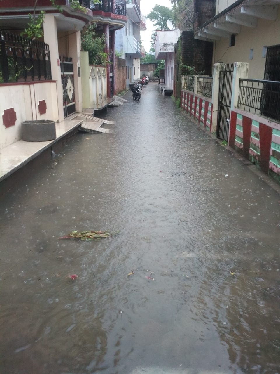Road made pond for rainning water