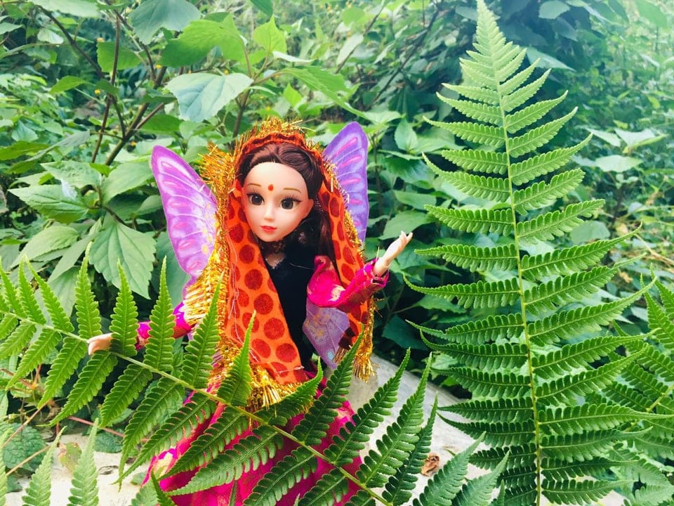 uttarakhand news Startup: Forget Barbie Doll, bring home beautiful junyali pahadi doll, pictures