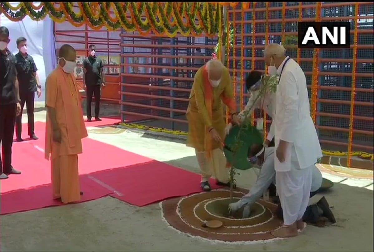 ram temple PM Modi will plant parijaat sapling in temple premises ahead of bhoomi pujan in ayodhya