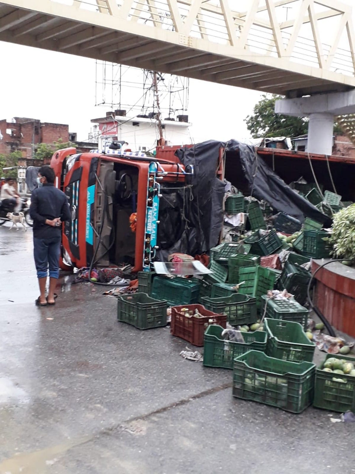 People looted mangoes from truck after overturned on road in varanasi up