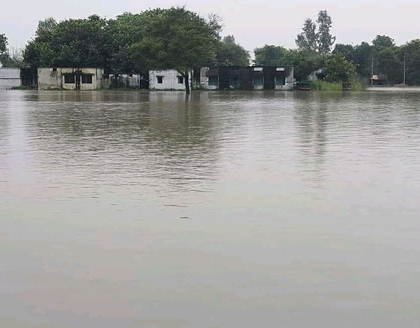 Chakki Musadohi village has become a bad island