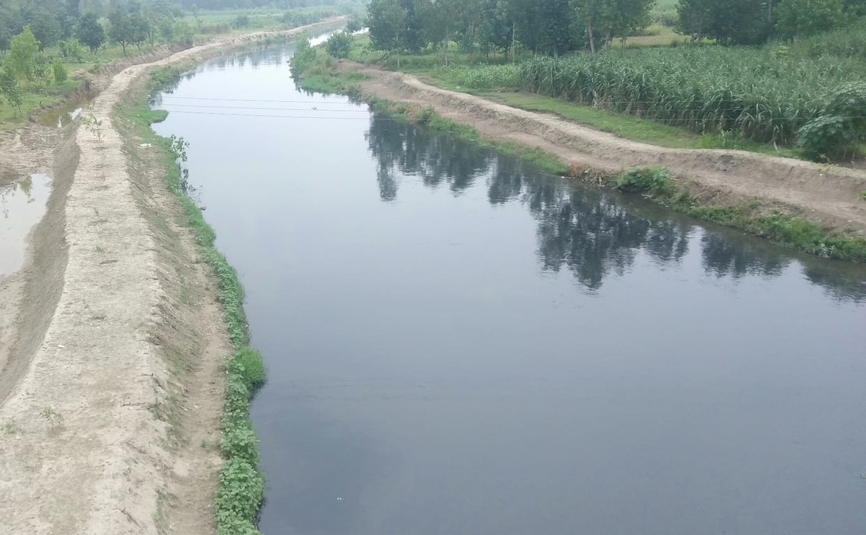 Deadly diseases are spreading in the village along the river