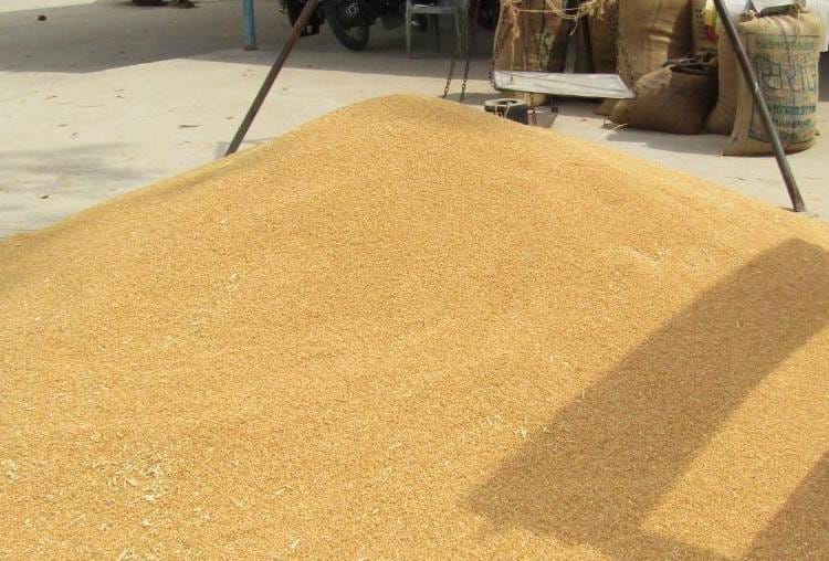door step delivery of grains to kotedars