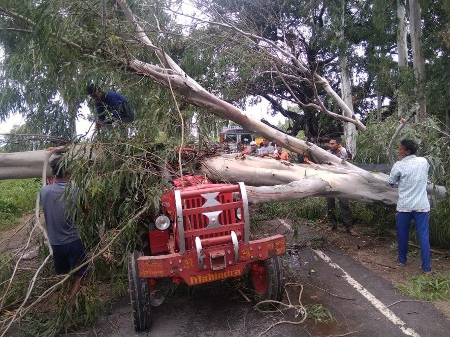 Trees fell on tractor due to strong wind, two injured